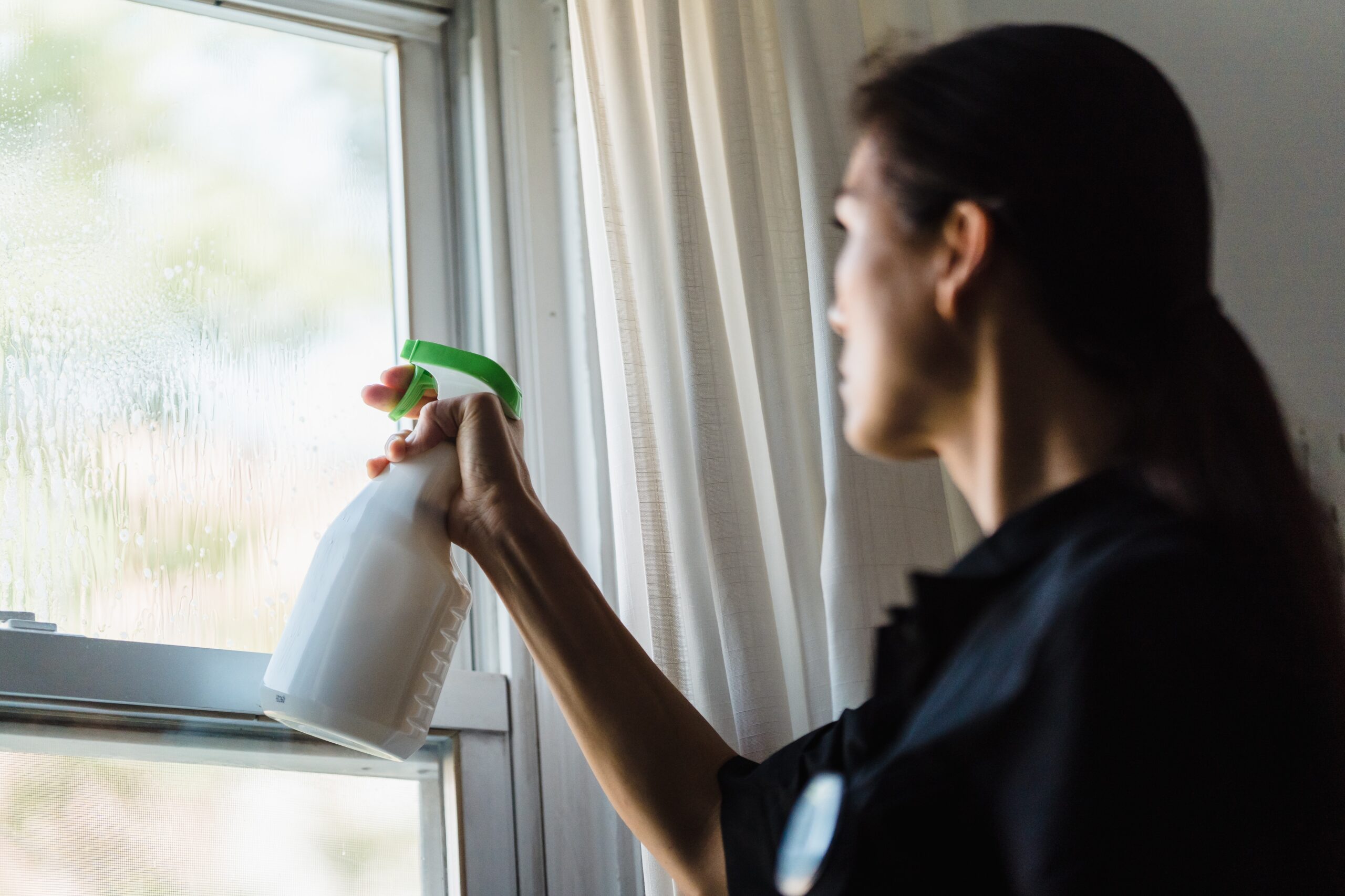 Window Cleaning Auckland